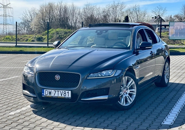 Jaguar XF cena 80000 przebieg: 115509, rok produkcji 2016 z Kraków małe 704